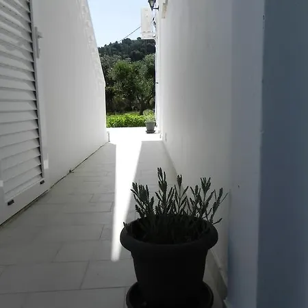 Apartment Explorer's Rest *